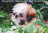 Coralie's "Dar-Len" Kin to Le-Ty